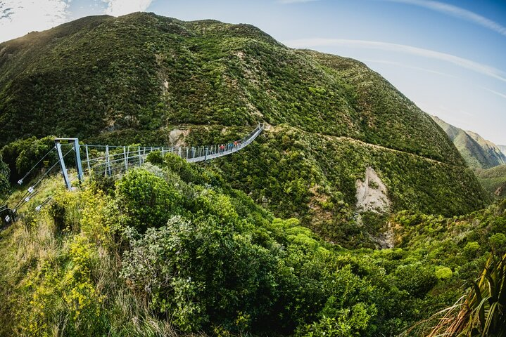Remutaka Rail Trail Mountain Bike Explorer - Photo 1 of 13